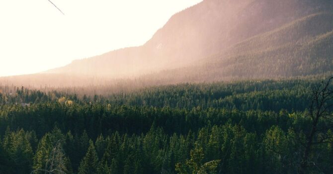 Functional Medicine