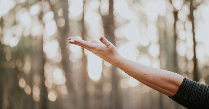 Hormone Optimization